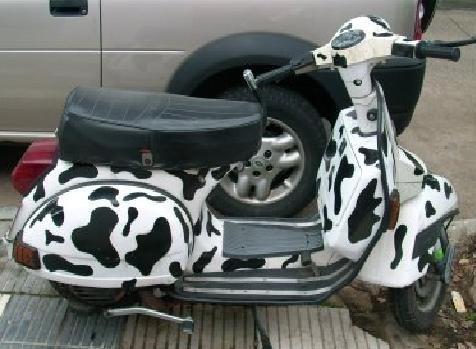 motovaqui.jpg