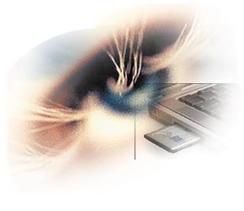 vision1.jpg